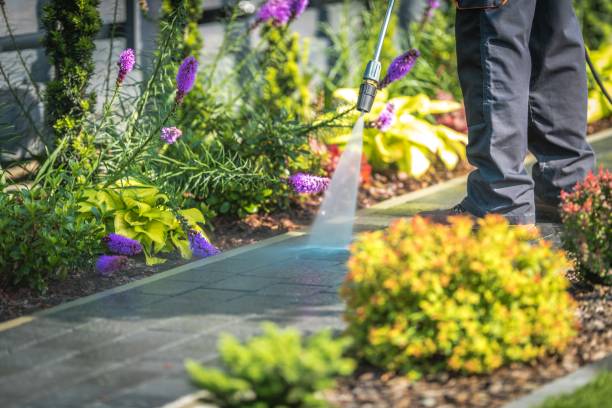 Reliable Berkeley, MO Pressure Washing Services Solutions